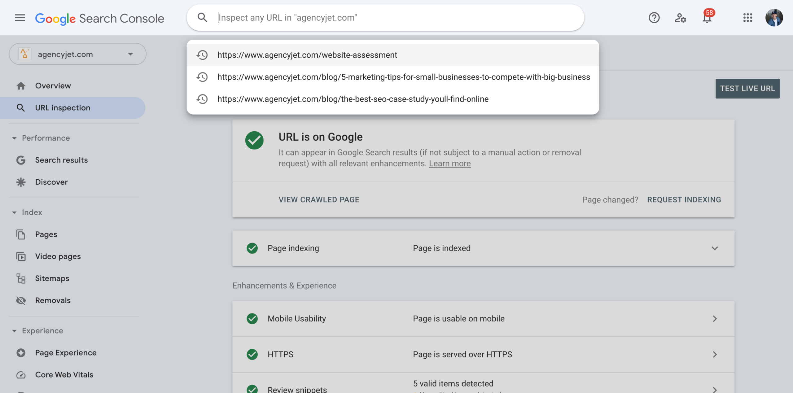 URL Inspection